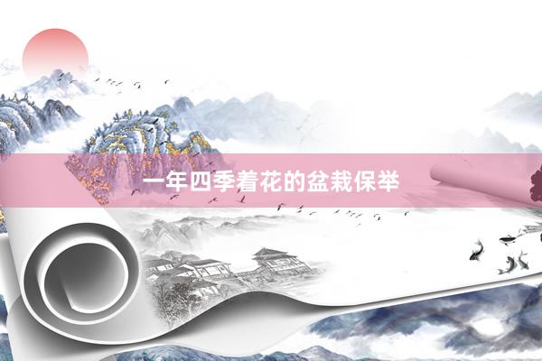 一年四季着花的盆栽保举