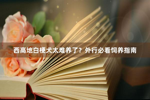 西高地白梗犬太难养了？外行必看饲养指南
